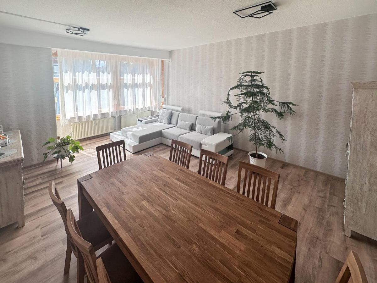 Schoene Altbauwohnung Mit Grosser Sonnenterrasse رودولشتات المظهر الخارجي الصورة